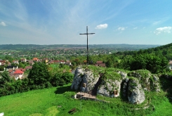 DCIM100MEDIADJI_0733.JPG
