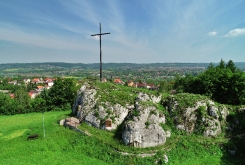 DCIM100MEDIADJI_0735.JPG